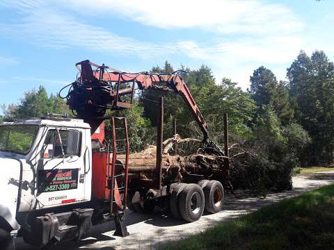 Kingdom Tree Service Kingdom Tree Service